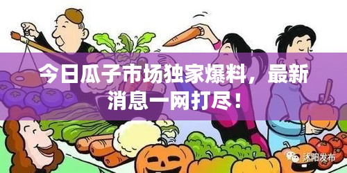 今日瓜子市场独家爆料，最新消息一网打尽！