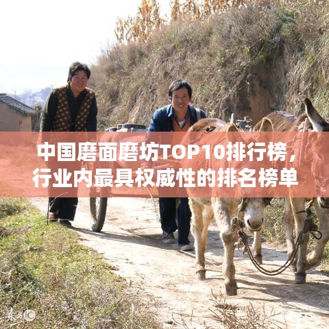 中国磨面磨坊TOP10排行榜，行业内最具权威性的排名榜单！