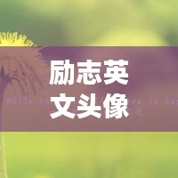 励志英文头像语录，激励你前行的力量！