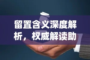 留置含义深度解析，权威解读助你全面了解