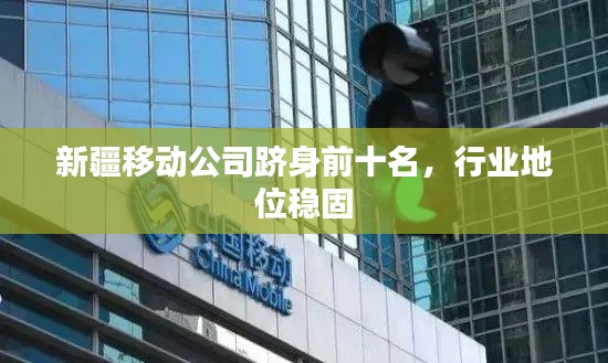 新疆移动公司跻身前十名，行业地位稳固