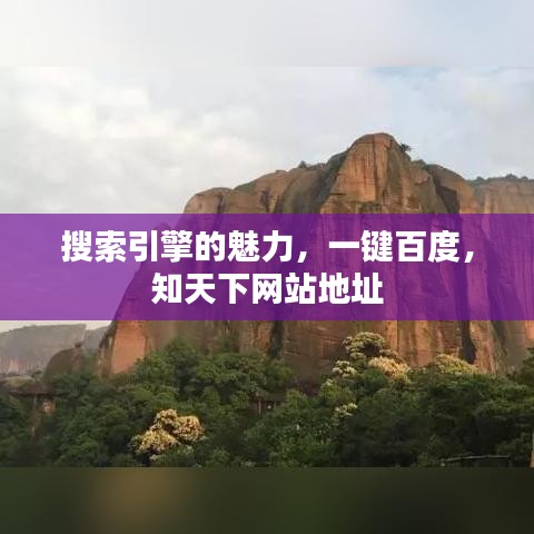 搜索引擎的魅力，一键百度，知天下网站地址