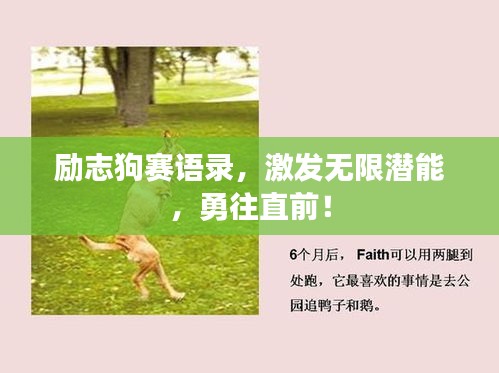励志狗赛语录，激发无限潜能，勇往直前！