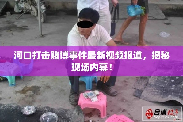 河口打击赌博事件最新视频报道，揭秘现场内幕！