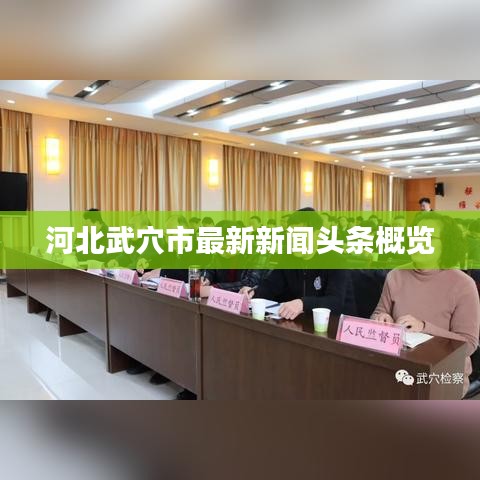 河北武穴市最新新闻头条概览