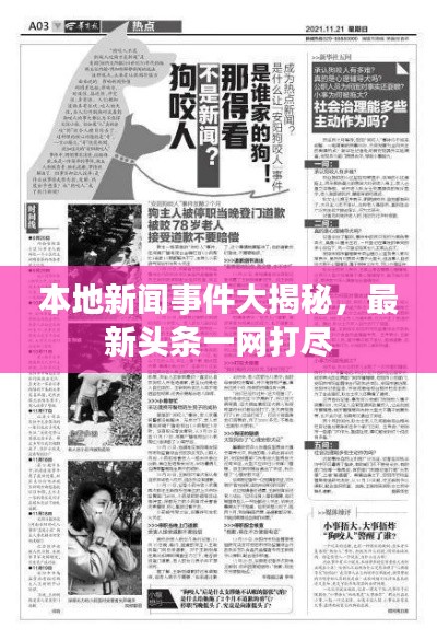 本地新闻事件大揭秘，最新头条一网打尽
