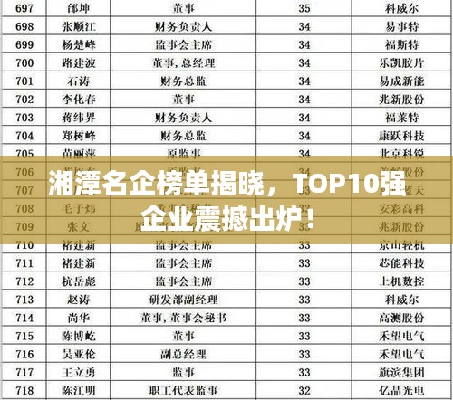 湘潭名企榜单揭晓，TOP10强企业震撼出炉！