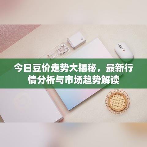 今日豆价走势大揭秘，最新行情分析与市场趋势解读