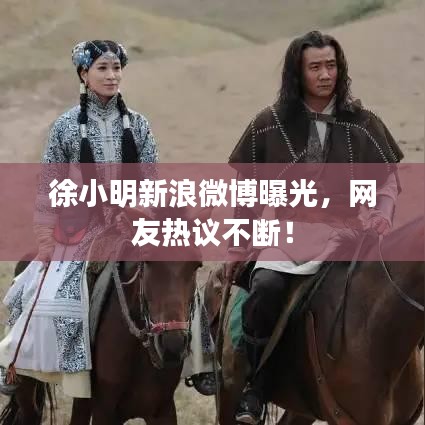 徐小明新浪微博曝光，网友热议不断！