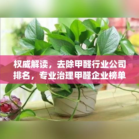 权威解读，去除甲醛行业公司排名，专业治理甲醛企业榜单