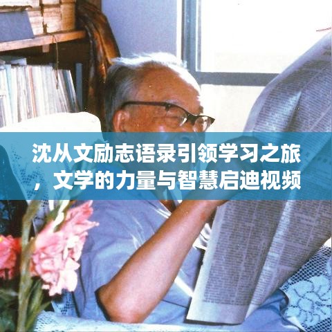 沈从文励志语录引领学习之旅，文学的力量与智慧启迪视频