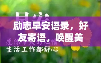 凤凰于飞