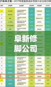 阜新修脚公司权威排名榜单揭晓！