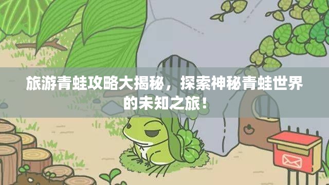 旅游青蛙攻略大揭秘，探索神秘青蛙世界的未知之旅！