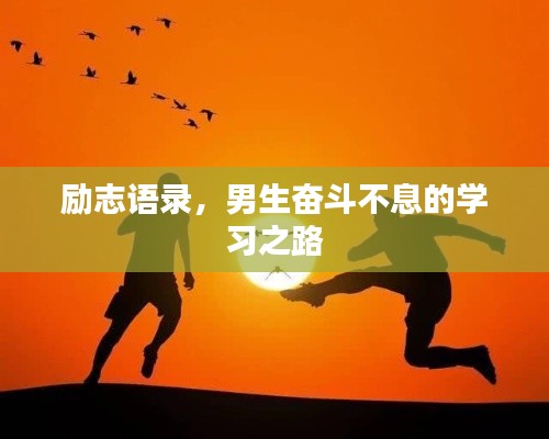 百鸟归巢