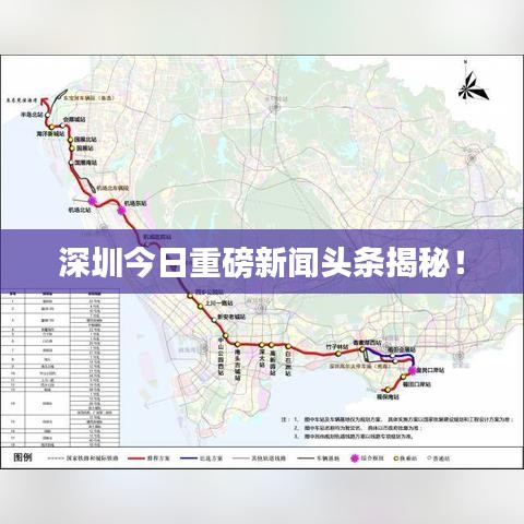深圳今日重磅新闻头条揭秘！