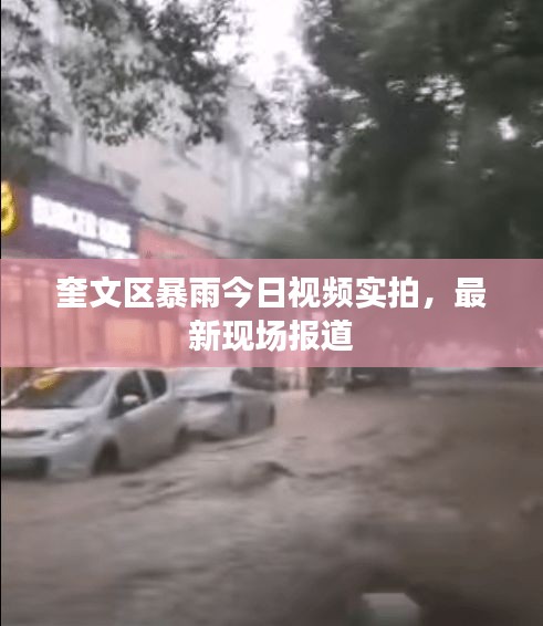 奎文区暴雨今日视频实拍，最新现场报道