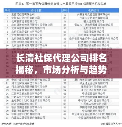 长清社保代理公司排名揭秘，市场分析与趋势展望