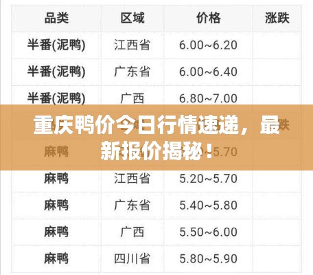 重庆鸭价今日行情速递，最新报价揭秘！