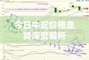 喜气洋洋
