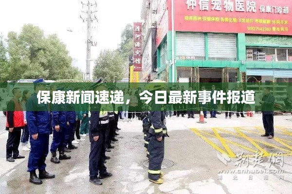 保康新闻速递，今日最新事件报道