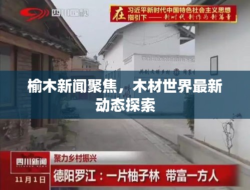 榆木新闻聚焦，木材世界最新动态探索