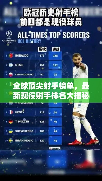 飞禽走兽