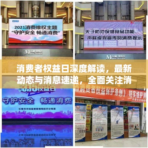 消费者权益日深度解读，最新动态与消息速递，全面关注消费者权益保障进展