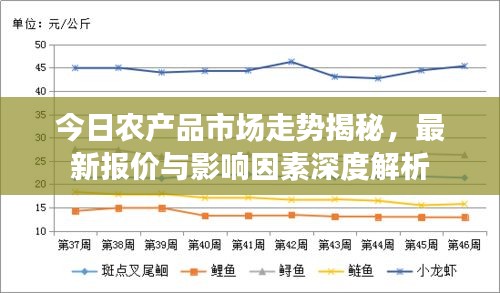 开张圣听