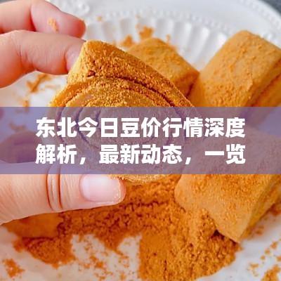 东北今日豆价行情深度解析，最新动态，一览无遗