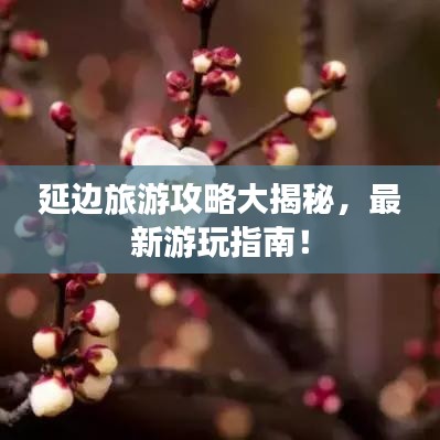 有气无力