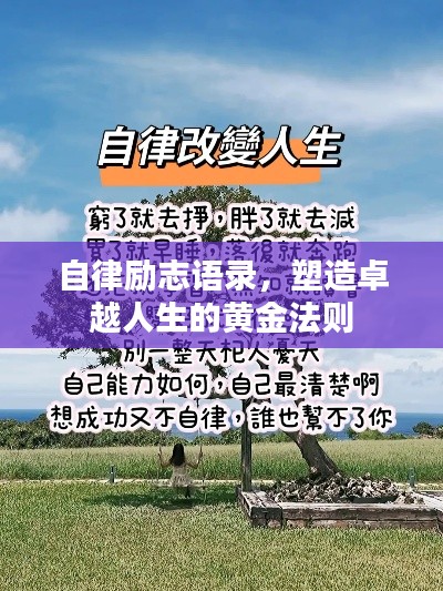 张袂成帷