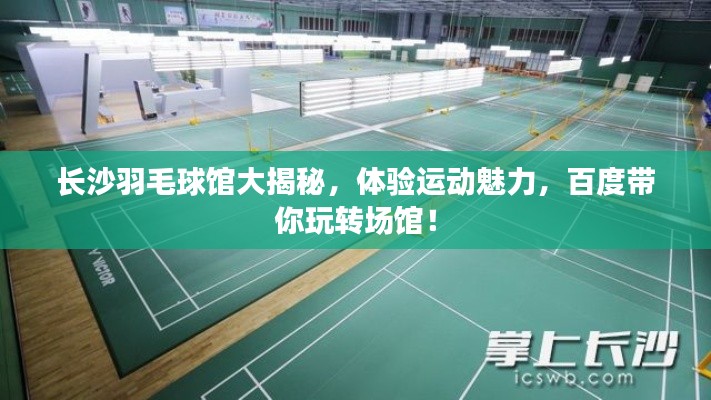 长沙羽毛球馆大揭秘，体验运动魅力，百度带你玩转场馆！