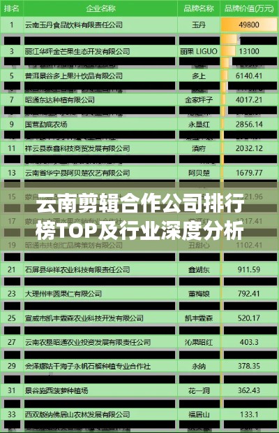 云南剪辑合作公司排行榜TOP及行业深度分析
