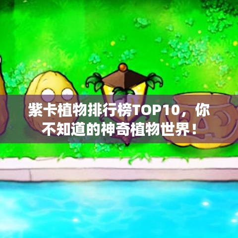 紫卡植物排行榜TOP10，你不知道的神奇植物世界！