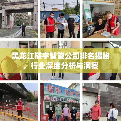 黑龙江楼宇智能公司排名揭秘，行业深度分析与洞察
