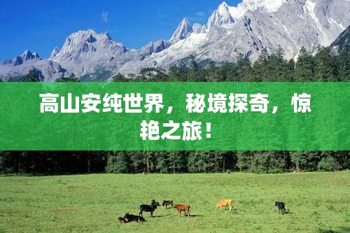 高山安纯世界，秘境探奇，惊艳之旅！