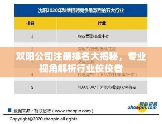 双阳公司注册排名大揭秘，专业视角解析行业佼佼者
