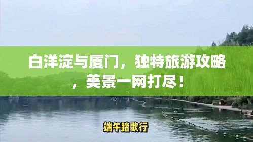 白洋淀与厦门，独特旅游攻略，美景一网打尽！