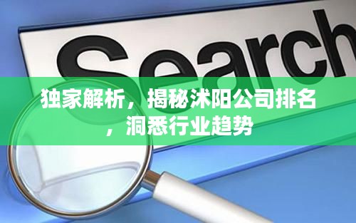 独家解析，揭秘沭阳公司排名，洞悉行业趋势