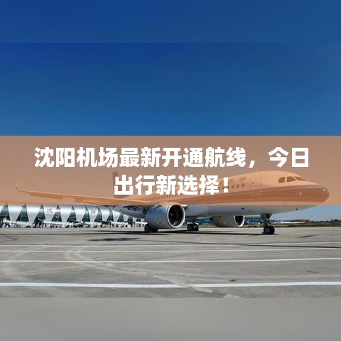 沈阳机场最新开通航线，今日出行新选择！