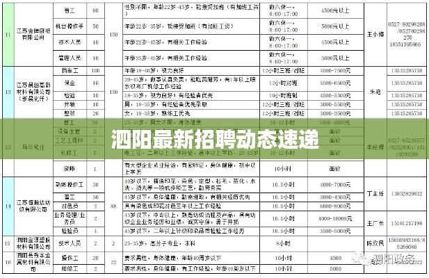 泗阳最新招聘动态速递