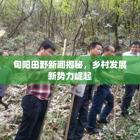 读书三到