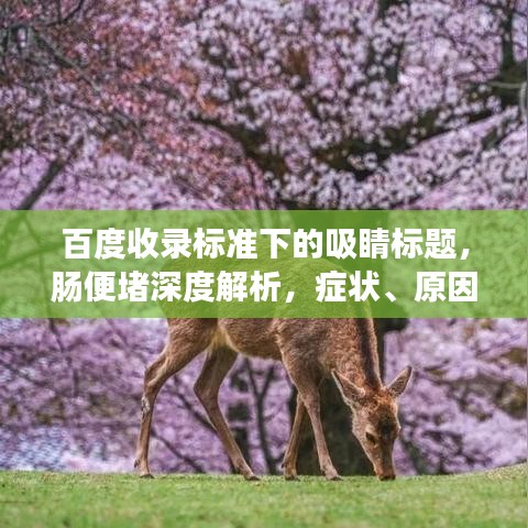 百度收录标准下的吸睛标题，肠便堵深度解析，症状、原因、治疗方法全解析