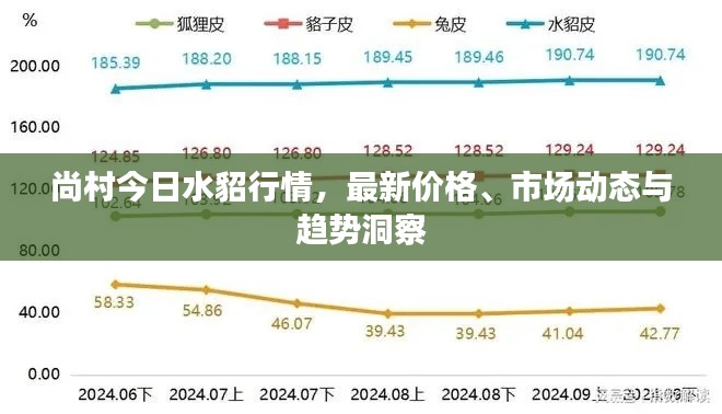 老死不相往来