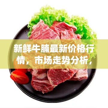新鲜牛腩最新价格行情，市场走势分析，购买指南助你选购优质牛腩