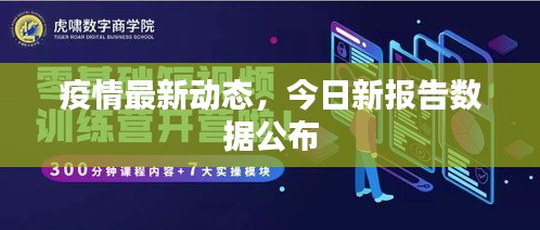 流光飞舞