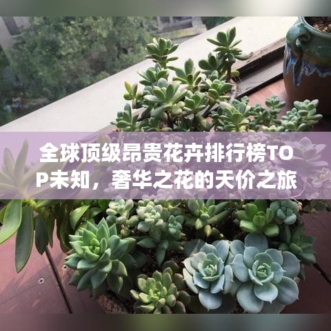 独学寡闻