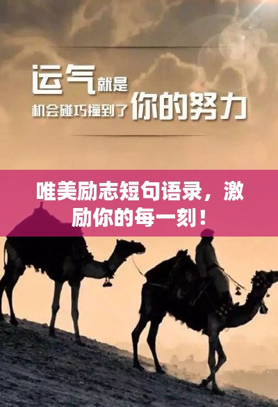 操作指南 第7页