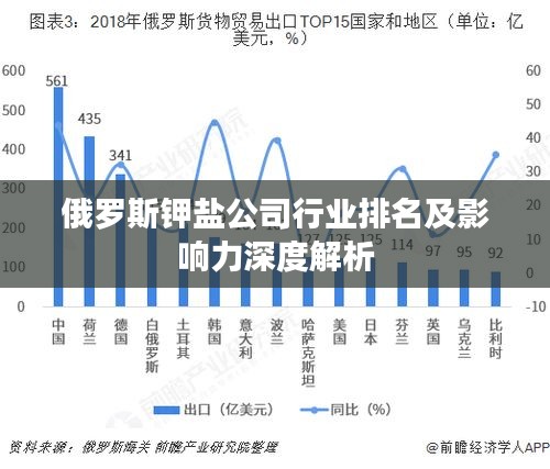 俄罗斯钾盐公司行业排名及影响力深度解析